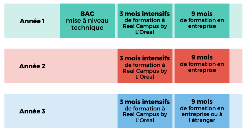 Déroulé 3 années du Bachelor